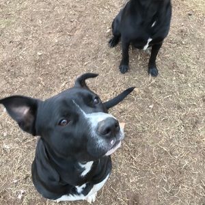 Meet your Posher, Bethany